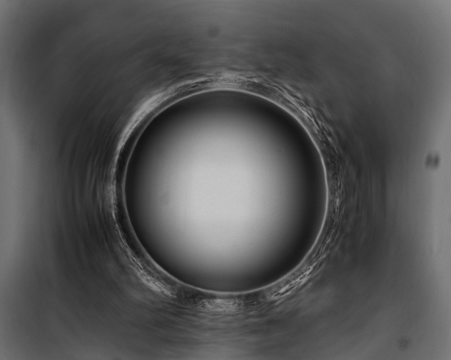 X0000100860102200806201226