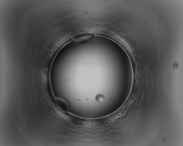 X0000100860105200806201226