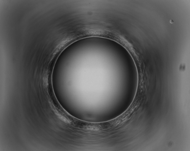 X0000100860106200806201226