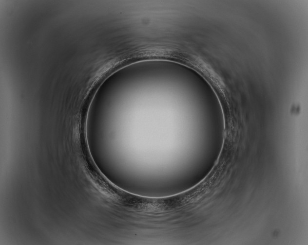 X0000100860107200806201226