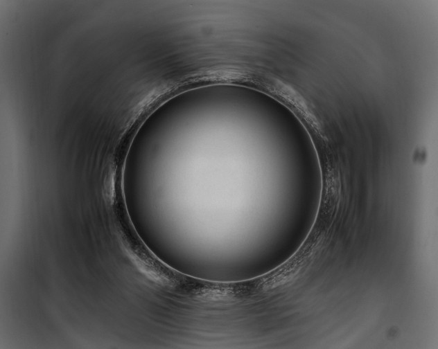 X0000100860110200806201226