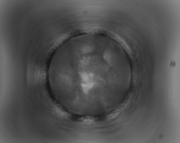 X0000100860113200806201226