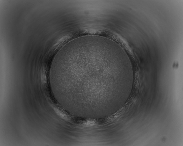 X0000100860114200806201226