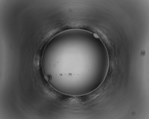 X0000100860115200806201226