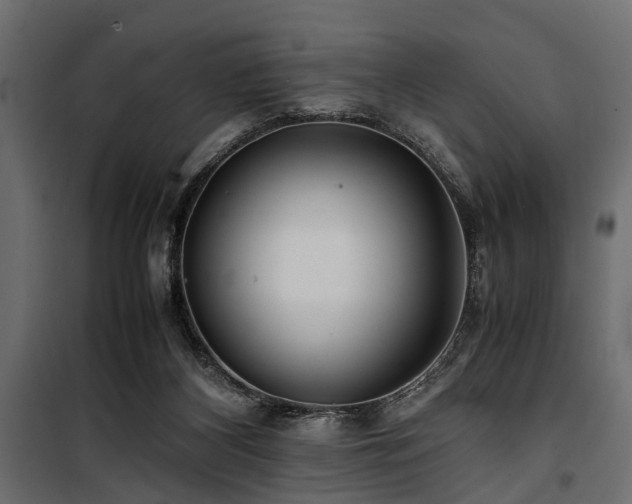 X0000100860116200806201226