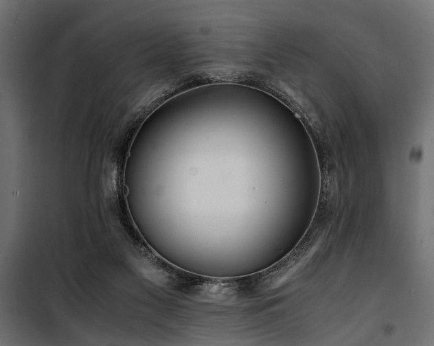 X0000100860117200806201226