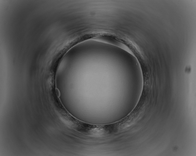 X0000100860119200806201226