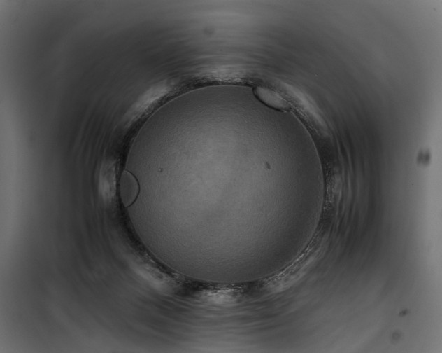 X0000100860120200806201226