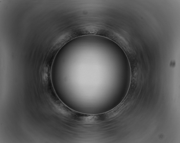 X0000100860122200806201226