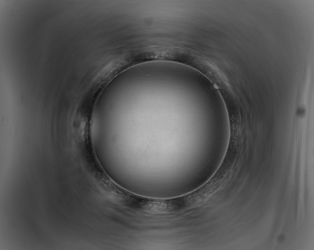 X0000100860123200806201226