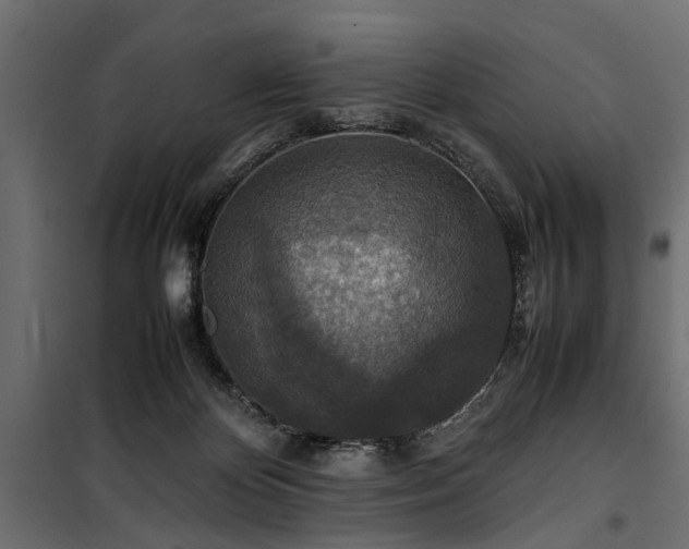 X0000100860124200806201226