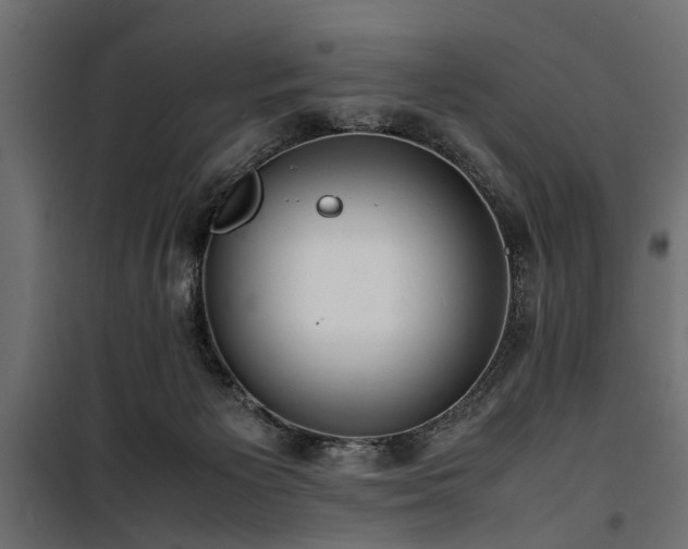 X0000100860125200806201226