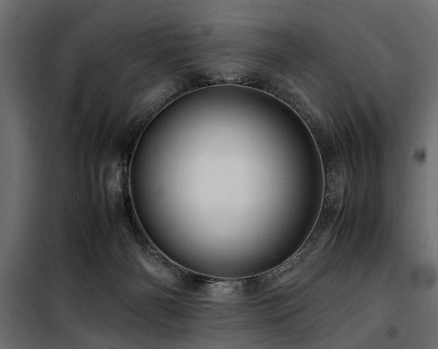 X0000100860126200806201226