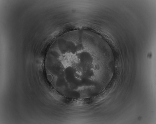 X0000100860127200806201226