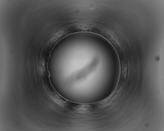 X0000100860128200806201226