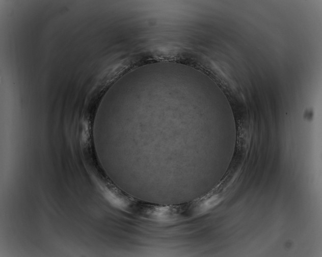 X0000100860130200806201226