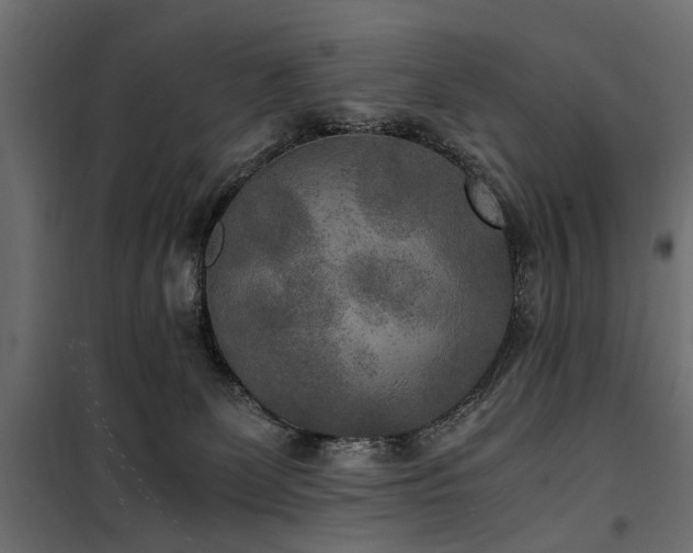 X0000100860131200806201226