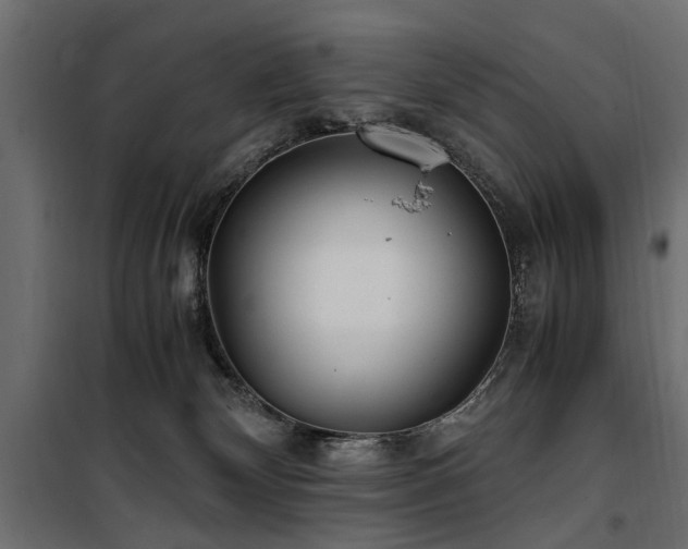 X0000100860132200806201226