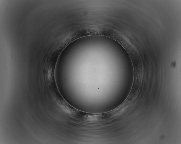 X0000100860134200806201226