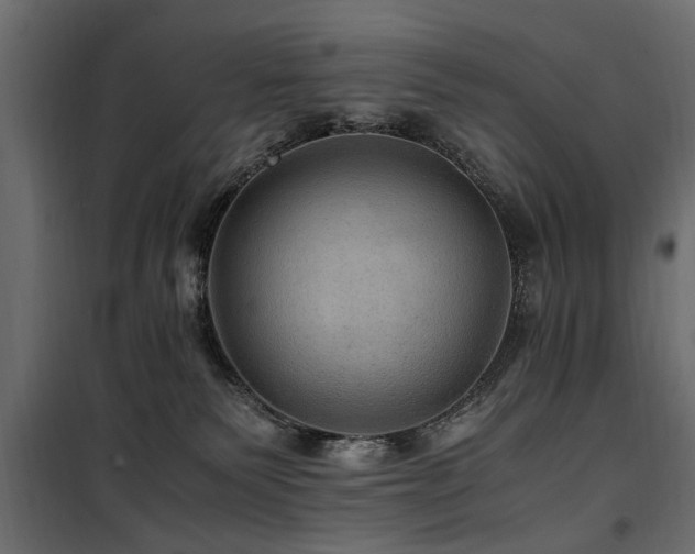 X0000100860135200806201226