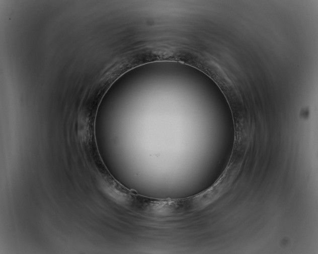 X0000100860136200806201226