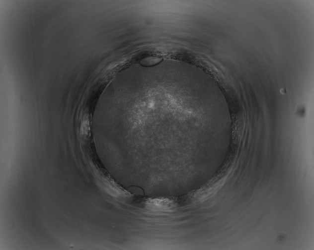 X0000100860137200806201226