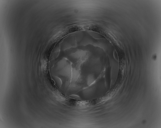 X0000100860139200806201226