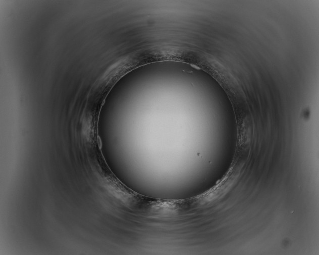 X0000100860140200806201226