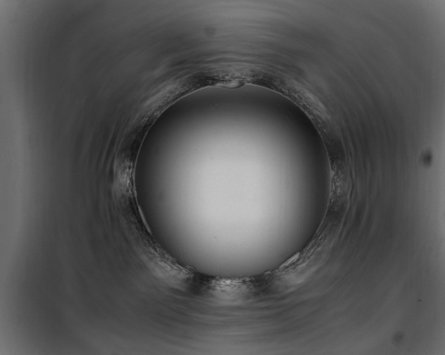 X0000100860141200806201226