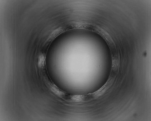 X0000100860142200806201226