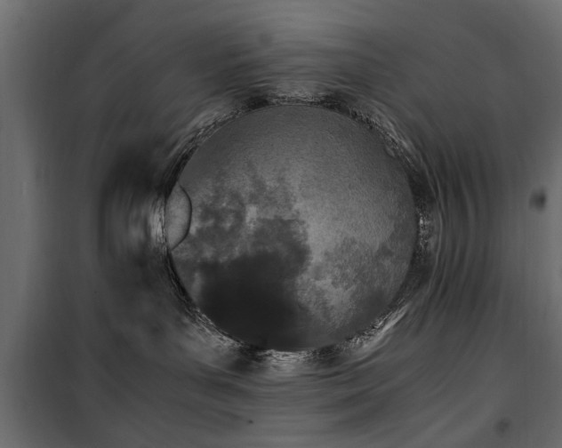 X0000100860143200806201226