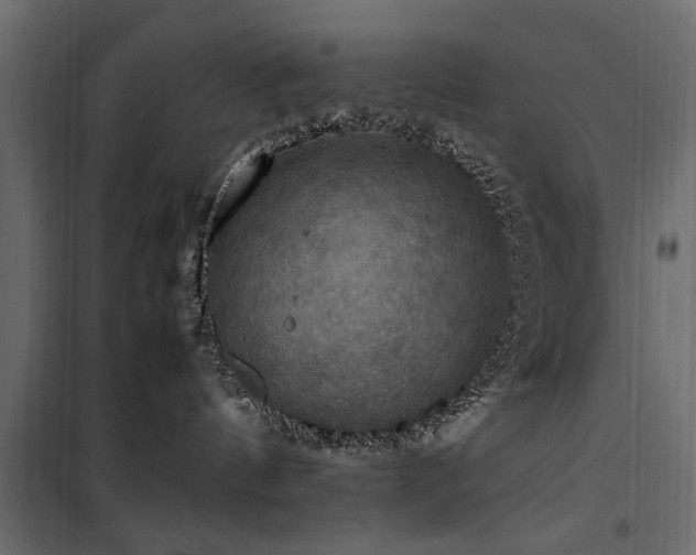 X0000100860144200806201226