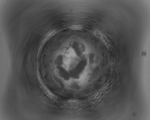 X0000100860145200806201225