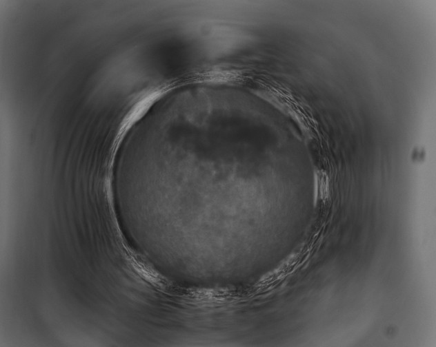 X0000100860147200806201225