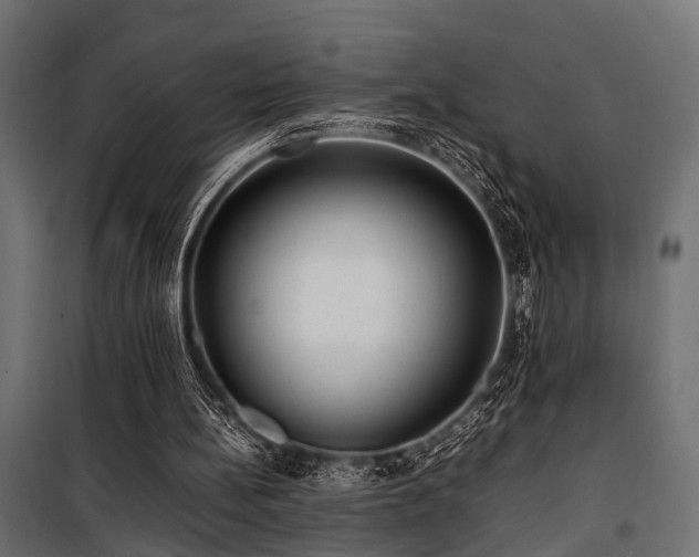 X0000100860148200806201225