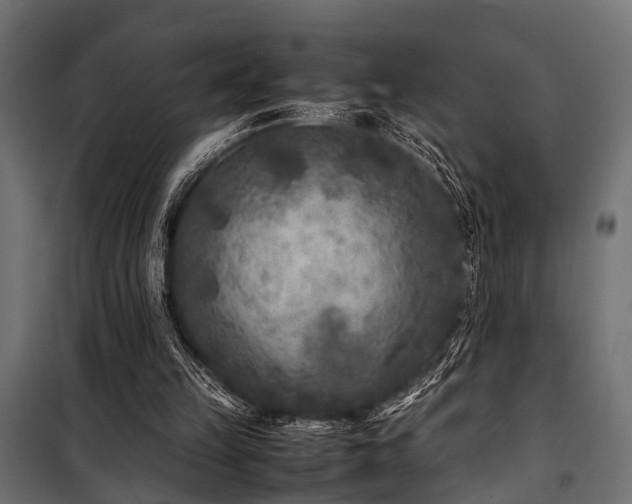 X0000100860149200806201225