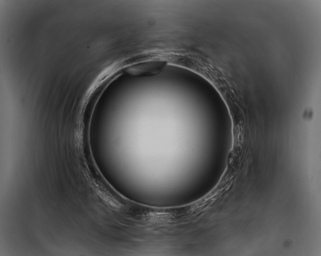 X0000100860150200806201225