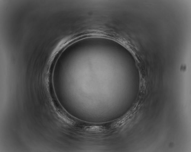 X0000100860151200806201225