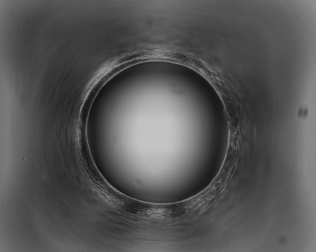 X0000100860152200806201225