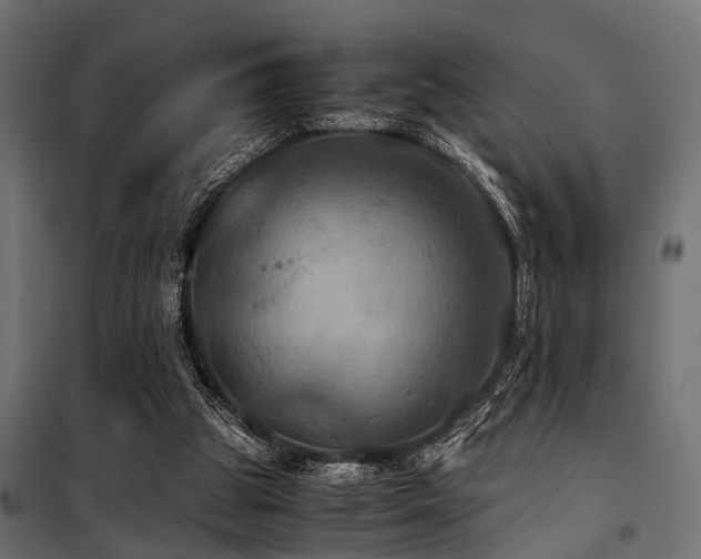 X0000100860153200806201225