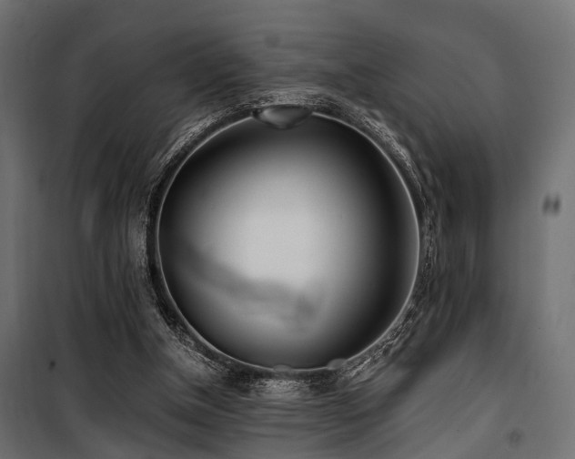 X0000100860154200806201225