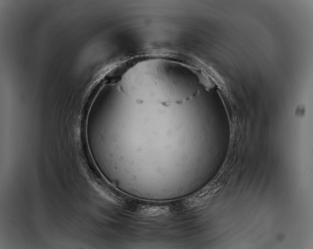 X0000100860155200806201225