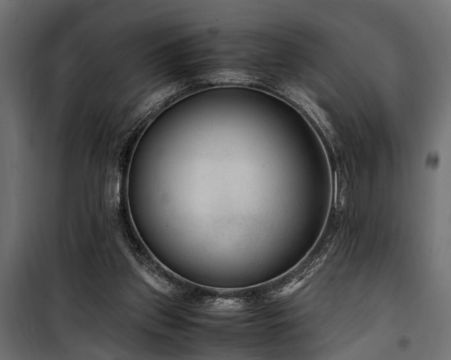 X0000100860157200806201225