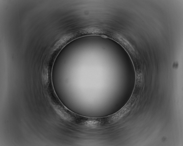 X0000100860158200806201225