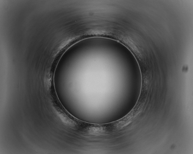 X0000100860160200806201225