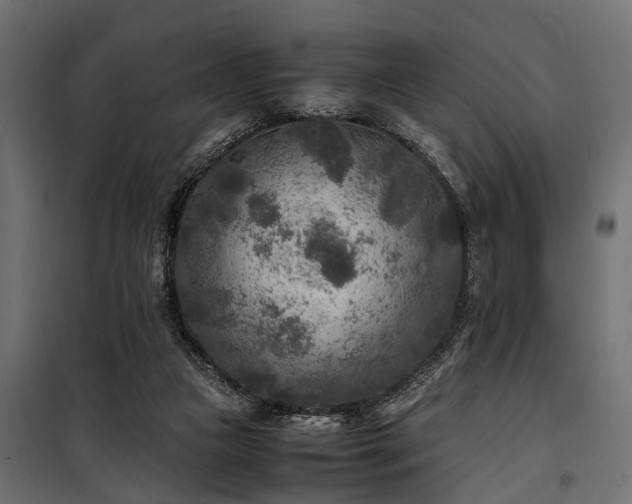 X0000100860161200806201225