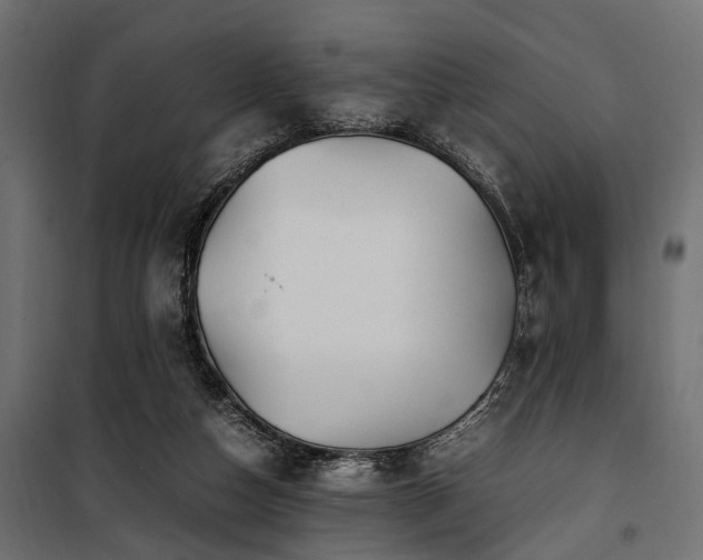 X0000100860162200806201225