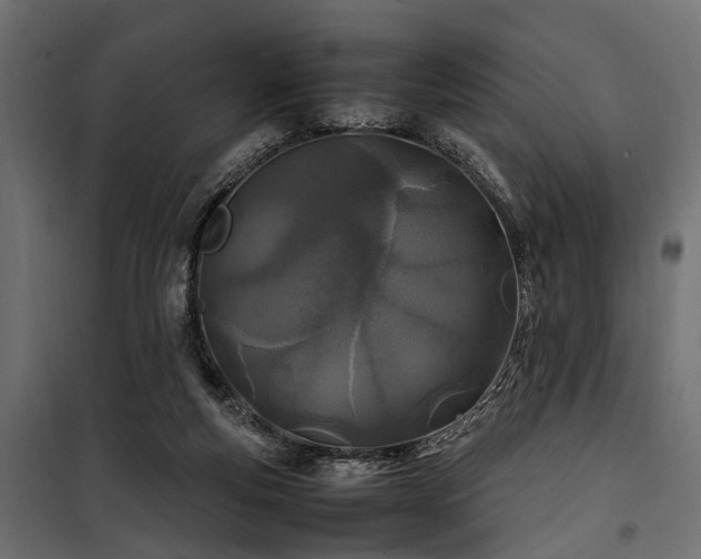 X0000100860163200806201225