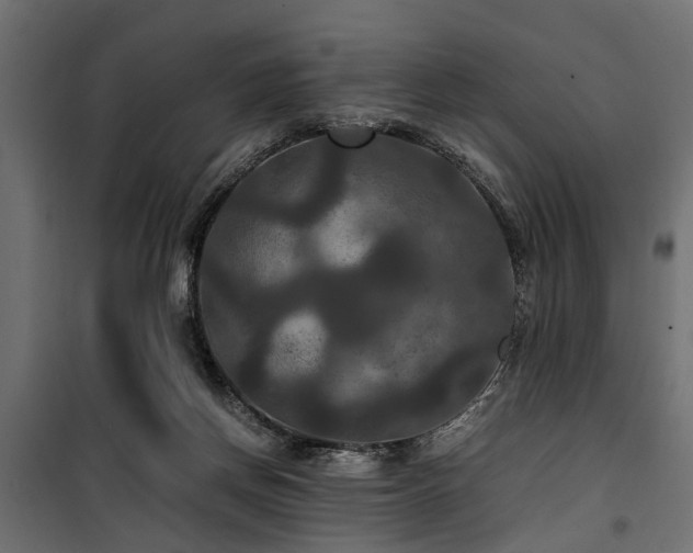 X0000100860166200806201225