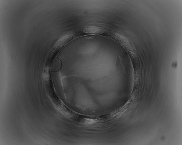 X0000100860167200806201225